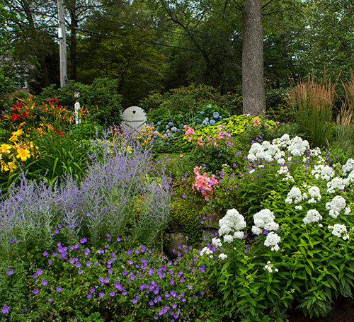 Landscape Design Garden Installation In Brookline Needham