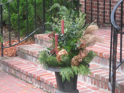 Fine Gardeners, Brookline, Newton, Needham, MA